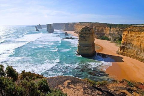 Great Ocean Road Small-Group Ecotour From Melbourne - Lightning Ridge Tourism 2