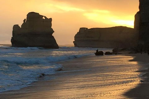 Great Ocean Road Small-Group Ecotour From Melbourne - Lightning Ridge Tourism 5