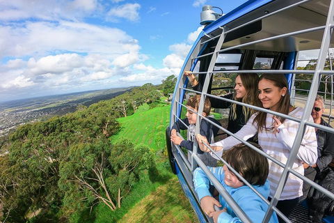 Peninsula Hot Springs Tour With Restaurant Lunch & Gondola Ride - Lightning Ridge Tourism 0