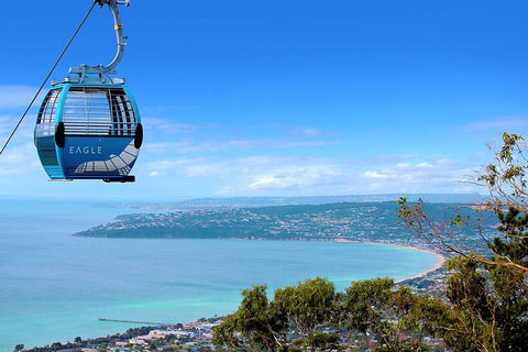 Peninsula Hot Springs Tour With Restaurant Lunch & Gondola Ride - Lightning Ridge Tourism 1