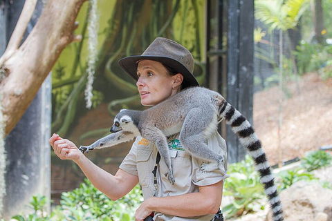 Currumbin Wildlife Sanctuary General Entry Ticket - Lightning Ridge Tourism 1