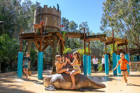 Currumbin Wildlife Sanctuary General Entry Ticket - Lightning Ridge Tourism 5