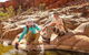 Private 9 Hour Walk And Waterhole Tour In West MacDonnell Ranges - thumb 1