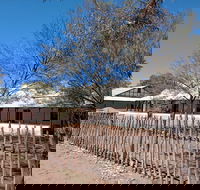 Private Cultural and Historical Painted Desert Tour in Hermannsburg - Lightning Ridge Tourism