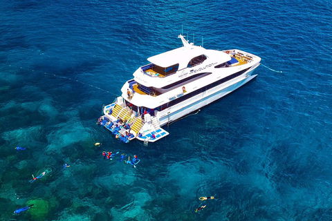 Great Barrier Reef Snorkeling And Diving Cruise From Cairns - Lightning Ridge Tourism 5