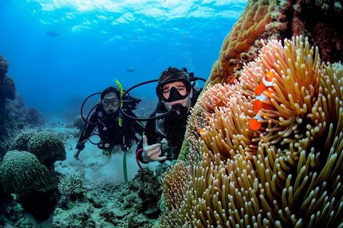 Full Day Reef Cruise Including 10 Minute Heli Scenic Flight: Get High Package - Lightning Ridge Tourism 5