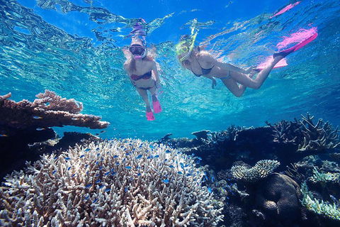 Great Barrier Reef Scenic Helicopter Tour And Cruise From Cairns - Lightning Ridge Tourism 3