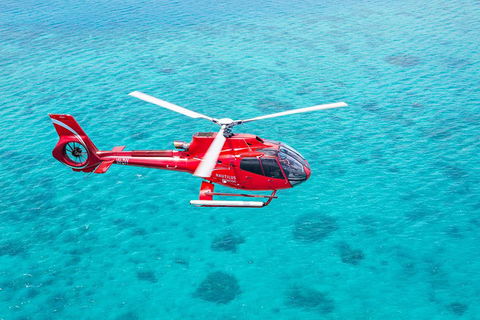 Cruise To Moore Reef Pontoon And Return Helicopter Flight From Cairns - Lightning Ridge Tourism 1