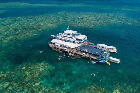 Cruise To Moore Reef Pontoon And Return Helicopter Flight From Cairns - Lightning Ridge Tourism 2