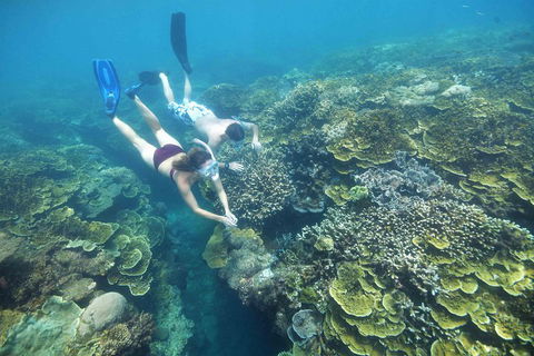 Cruise To Moore Reef Pontoon And Return Helicopter Flight From Cairns - Lightning Ridge Tourism 3