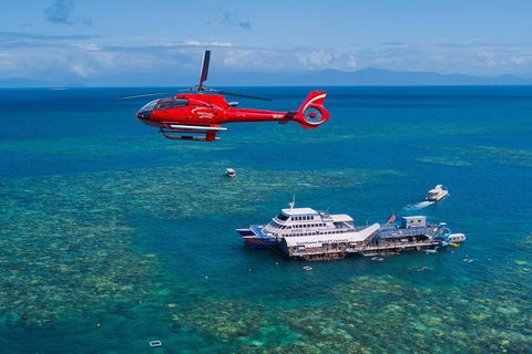 Cruise To Moore Reef Pontoon And Return Helicopter Flight From Cairns - Lightning Ridge Tourism 4