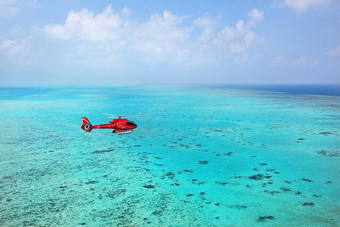 Ultimate Great Barrier Reef And Rainforest 45-minute Helicopter Tour - Lightning Ridge Tourism 2