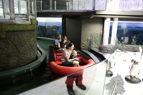 Sydney Attractions Pass: SEA LIFE Aquarium, Sydney Tower Eye, WILD LIFE Zoo And Madame Tussauds - Lightning Ridge Tourism 0