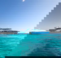 Fremantle to Rottnest Island Roundtrip Ferry Ticket - Lightning Ridge Tourism