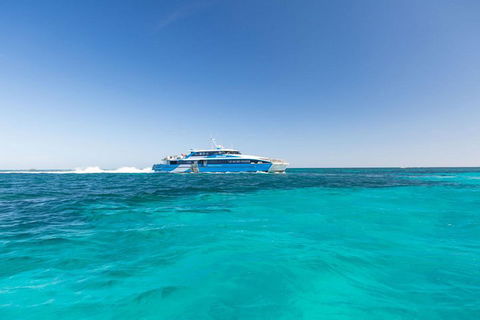 Rottnest Island Bayseeker Day Trip From Perth - Lightning Ridge Tourism 0