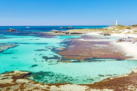 Rottnest Island Bayseeker Day Trip From Perth - Lightning Ridge Tourism 4