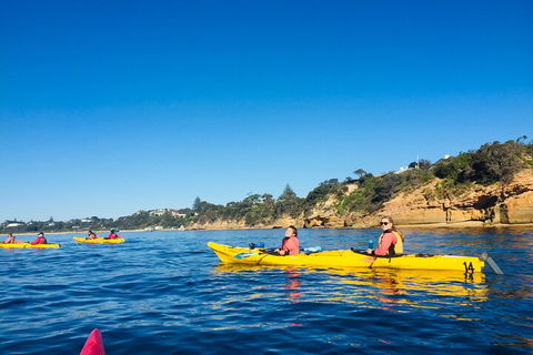 Mornington Peninsula Kayak Coastline Tour Of Dolphin Sanctuary - Lightning Ridge Tourism 1