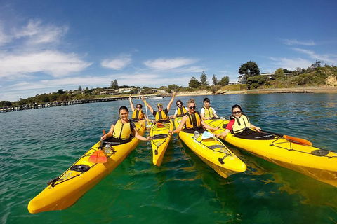 Mornington Peninsula Kayak Coastline Tour Of Dolphin Sanctuary - Lightning Ridge Tourism 2