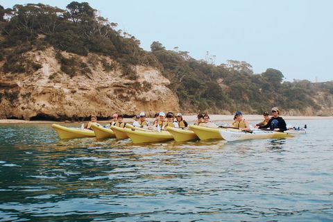 Mornington Peninsula Kayak Coastline Tour Of Dolphin Sanctuary - Lightning Ridge Tourism 4