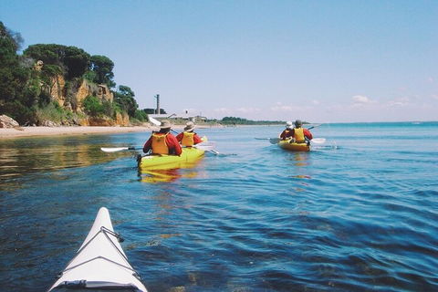 Mornington Peninsula Kayak Coastline Tour Of Dolphin Sanctuary - Lightning Ridge Tourism 5
