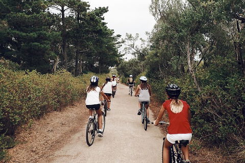 Self-Guided Point Nepean National Park Bike Hire - Lightning Ridge Tourism 3