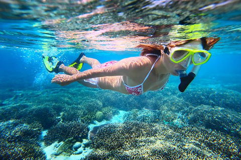 Abrolhos Islands Scenic Flight & Snorkel Adventure From Perth - Lightning Ridge Tourism 1