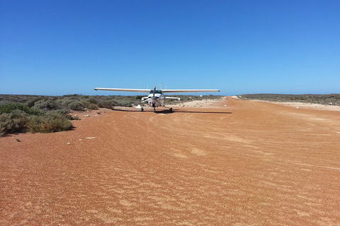 Abrolhos Islands Scenic Flight & Snorkel Adventure From Perth - Lightning Ridge Tourism 3