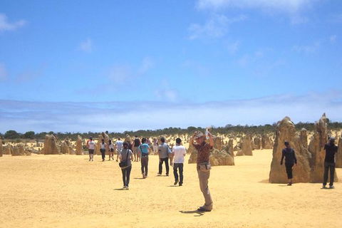 Pinnacles & Rottnest Island Scenic Air & Ground Tour - Lightning Ridge Tourism 3