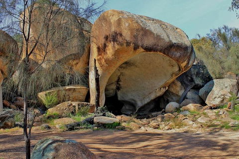 Wave Rock Half Day Air & Ground Tour - Lightning Ridge Tourism 1