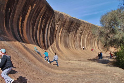 Wave Rock Half Day Air & Ground Tour - Lightning Ridge Tourism 2