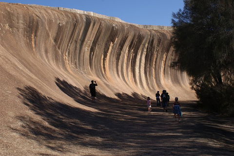 Wave Rock, Pinnacles And Rottnest One Day Aeroplane Tour - Lightning Ridge Tourism 4