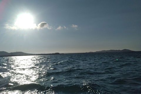 Townsville Small Group Early Morning Sailing Cruise Boat Tour Charter Hire - Lightning Ridge Tourism 4