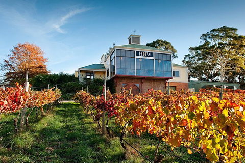 Adelaide Hills Food, Wine, Cheese, & Chocolate - Private Day Tour - Lightning Ridge Tourism 3