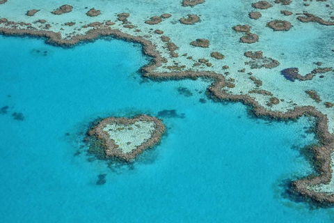 Reef And Island Scenic Flight From Airlie Beach - Lightning Ridge Tourism 5