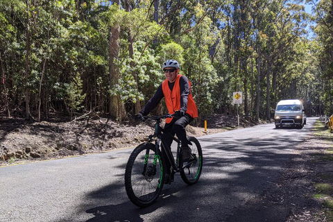 Mount Wellington Descent Cycling Tour Departs Hobart - Lightning Ridge Tourism 3