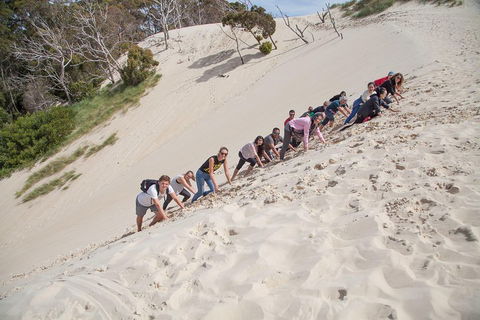 6-Day Tasmanian Explorer Adventure Tour From Hobart - Lightning Ridge Tourism 2