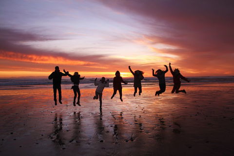6-Day Tasmanian Explorer Adventure Tour From Hobart - Lightning Ridge Tourism 3