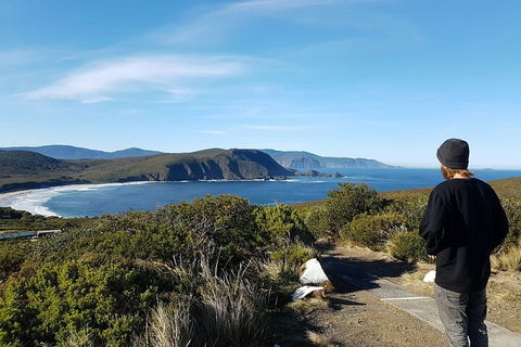 4-Day Fabulous Tasmania Tour: Wineglass Bay, Port Arthur, Devils & Bruny Island - Lightning Ridge Tourism 0