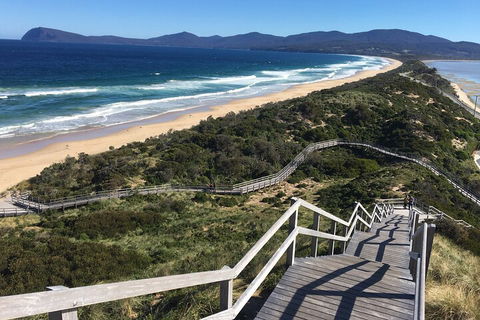 4-Day Fabulous Tasmania Tour: Wineglass Bay, Port Arthur, Devils & Bruny Island - Lightning Ridge Tourism 5