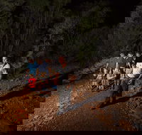 Alice Springs Desert Park Nocturnal Tour - Lightning Ridge Tourism