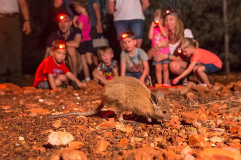 Alice Springs Desert Park Nocturnal Tour - Lightning Ridge Tourism 1