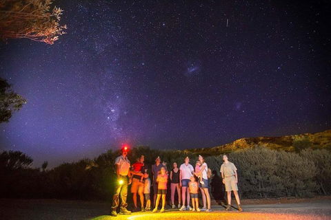 Alice Springs Desert Park Nocturnal Tour - Lightning Ridge Tourism 2