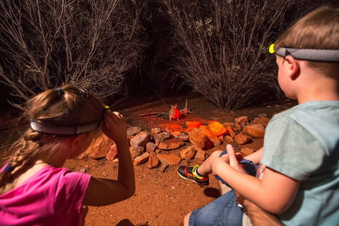 Alice Springs Desert Park Nocturnal Tour - Lightning Ridge Tourism 4