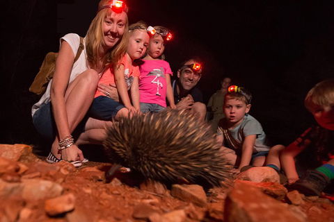 Alice Springs Desert Park Nocturnal Tour - Lightning Ridge Tourism 5