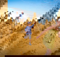Full-Day Pinnacles Desert and Yanchep National Park Tour From Perth - Lightning Ridge Tourism