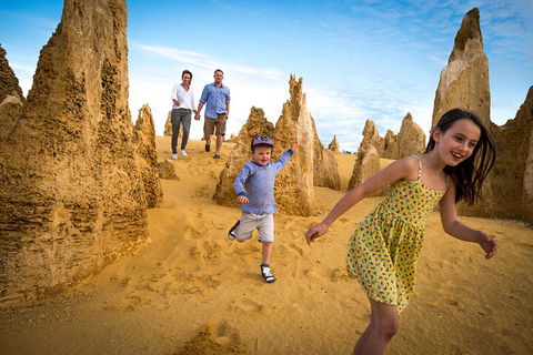 Full-Day Pinnacles Desert And Yanchep National Park Tour From Perth - Lightning Ridge Tourism 0