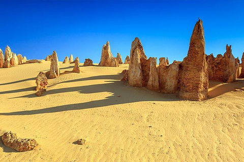 Full-Day Pinnacles Desert And Yanchep National Park Tour From Perth - Lightning Ridge Tourism 2