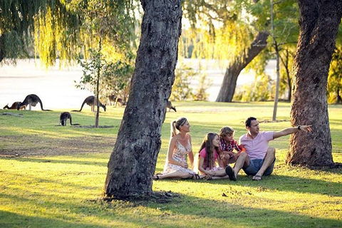 Full-Day Pinnacles Desert And Yanchep National Park Tour From Perth - Lightning Ridge Tourism 3