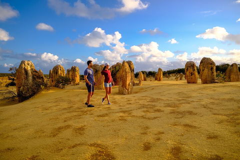 Full-Day Pinnacles Desert And Yanchep National Park Tour From Perth - Lightning Ridge Tourism 4