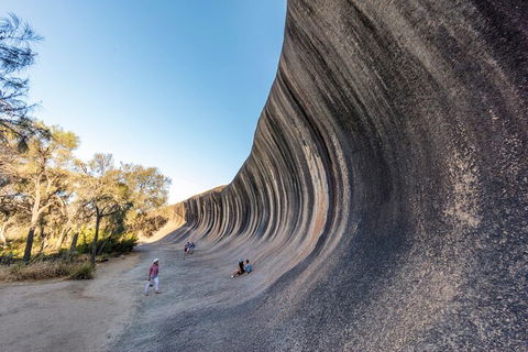 Full-Day Wave Rock & Historic York - Lightning Ridge Tourism 0